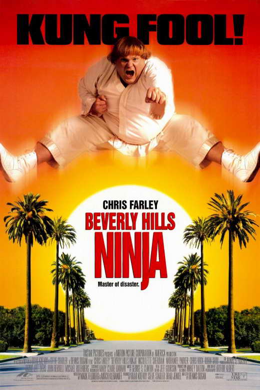 ნინძა ბევერლი ჰილზიდან / Beverly Hills Ninja ქართულად