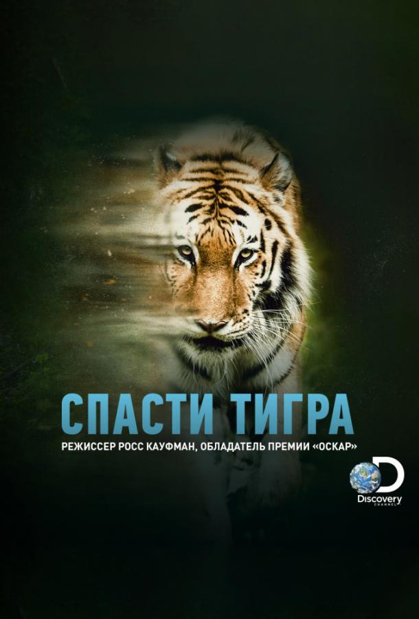 Animal Planet: ლომის გადარჩენა / Tigerland ქართულად