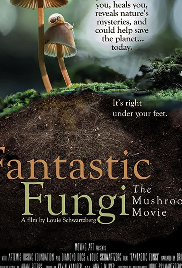 Фантастические грибы / Fantastic Fungi ქართულად