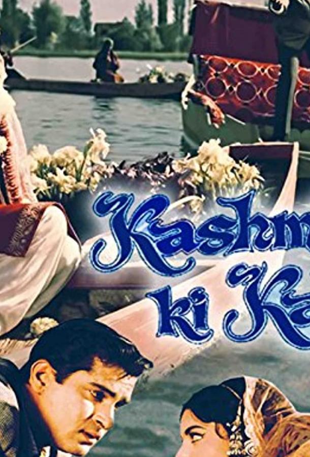 Красавица Кашмира / Kashmir Ki Kali ქართულად