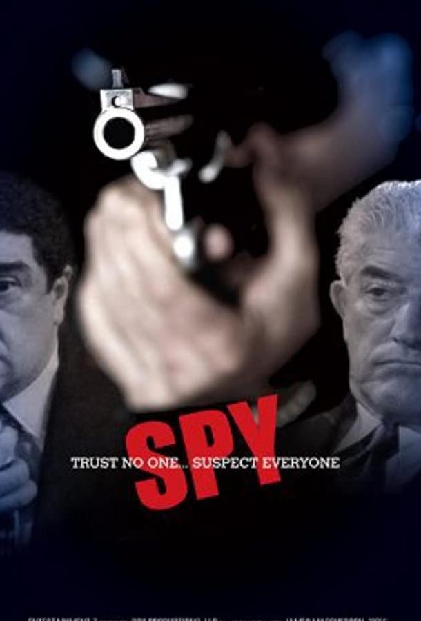 Шпион / Spy ქართულად
