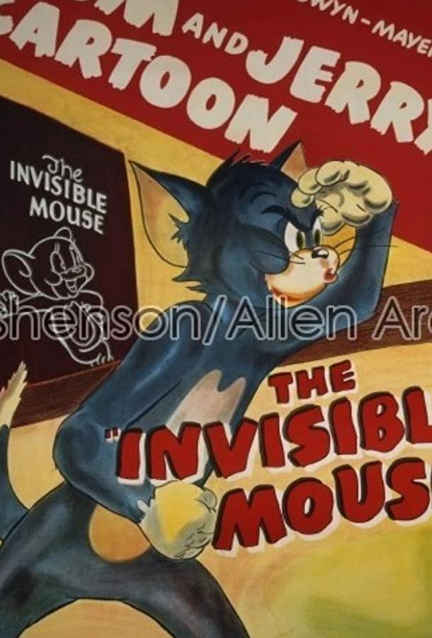 Мышонок-невидимка / The Invisible Mouse ქართულად