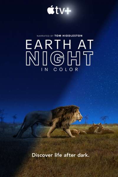 დედამიწა ღამით ფერებში / Earth at Night in Color ქართულად