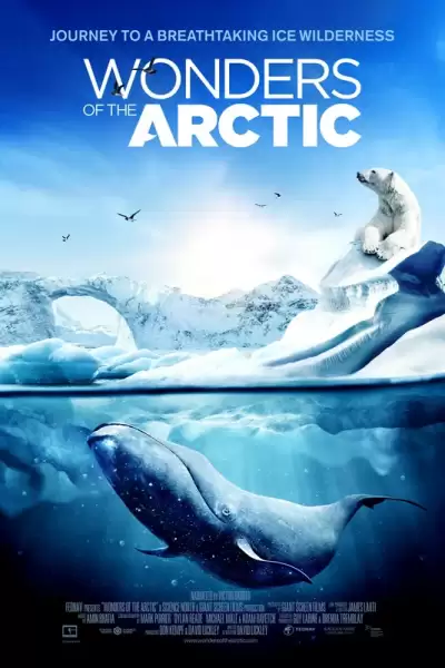 არქტიკის საოცრება / Wonders of the Arctic 3D ქართულად