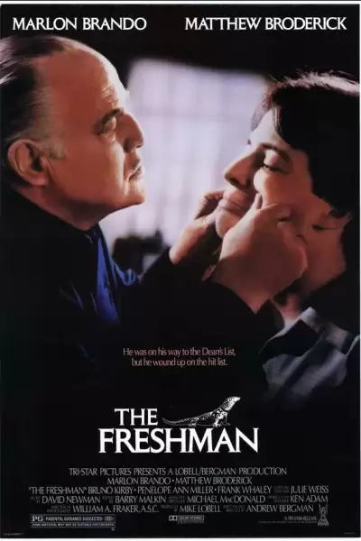 ახალბედა / The Freshman ქართულად