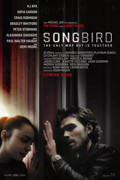 მომღერალი ჩიტი / Songbird ქართულად