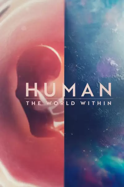 ადამიანის სხეული: სამყარო / Human: The World Within ქართულად