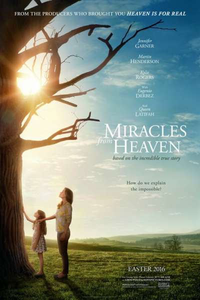 სასწაული ზეციდან / Miracles from Heaven ქართულად