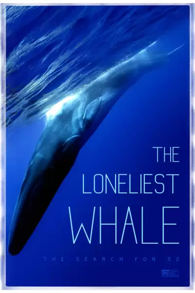 მარტოხელა ვეშაპი: 52 ის ძიებაში / The Loneliest Whale: The Search for 52 ქართულად