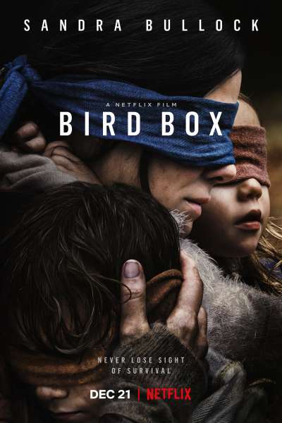 ჩიტის ყუთი / Bird Box ქართულად