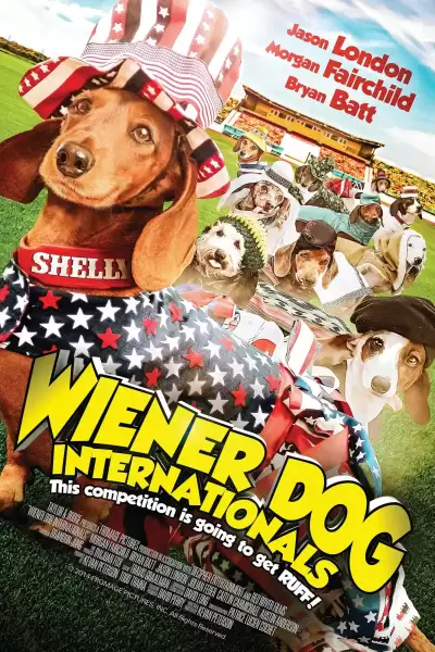ძაღლების საერთაშორისო შეჯიბრი / Wiener Dog Internationals ქართულად