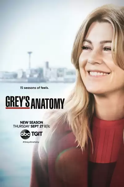 გრეის ანატომია / Grey's Anatomy ქართულად