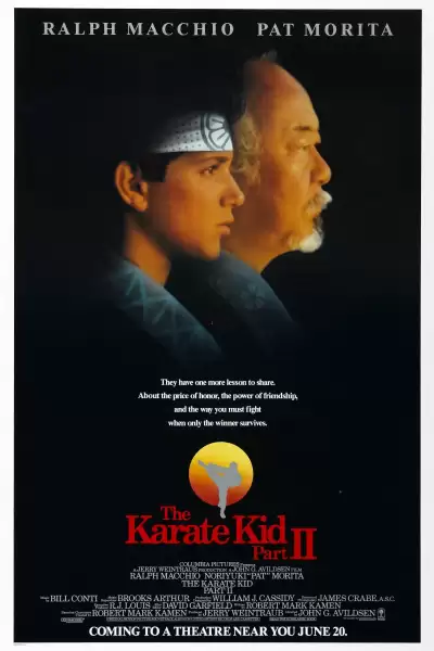 კარატისტი ბიჭი 2 / The Karate Kid Part II ქართულად
