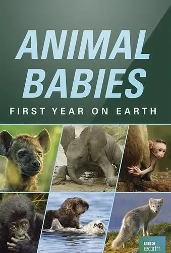 ჩვილები ველურ პირველ წელს დედამიწაზე / Animal Babies: First Year on Earth ქართულად