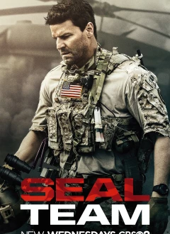 სპეციალური დანიშნულების რაზმი (ზღვის ლომები) / SEAL Team ქართულად
