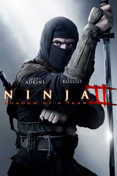 ნინძა 2 / Ninja: Shadow of a Tear ქართულად