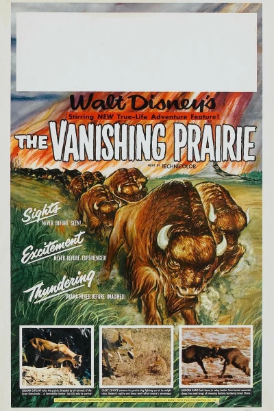 The Vanishing Prairie / The Vanishing Prairie ქართულად