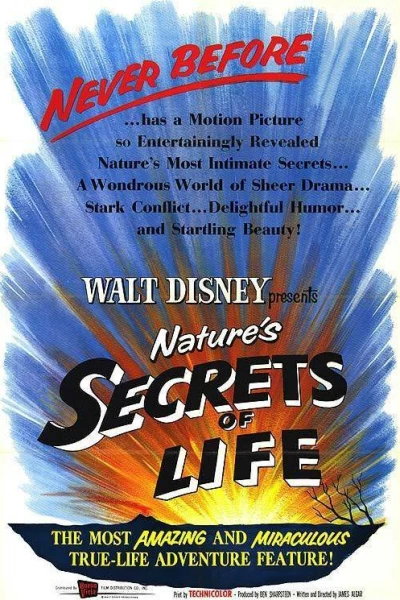 Secrets of Life / Secrets of Life ქართულად