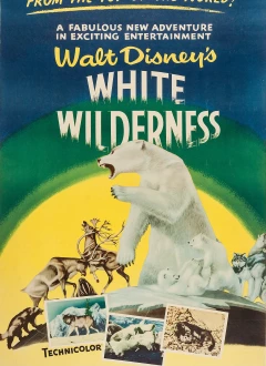 White Wilderness / White Wilderness ქართულად