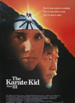 კარატისტი ბიჭი 3 / The Karate Kid Part III ქართულად