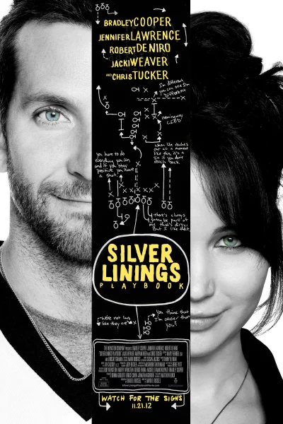 პიესების ვერცხლისფერი კრებული / Silver Linings Playbook ქართულად