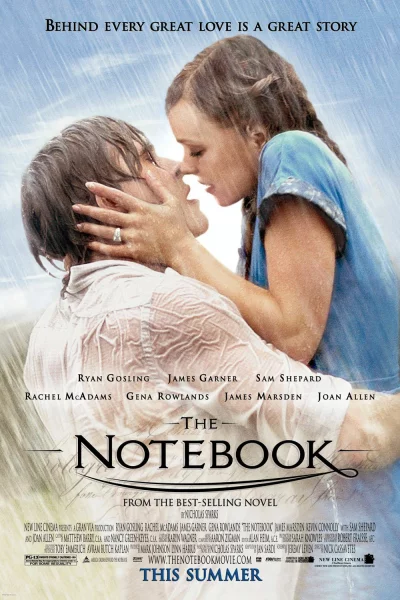 უბის წიგნაკი / The Notebook ქართულად