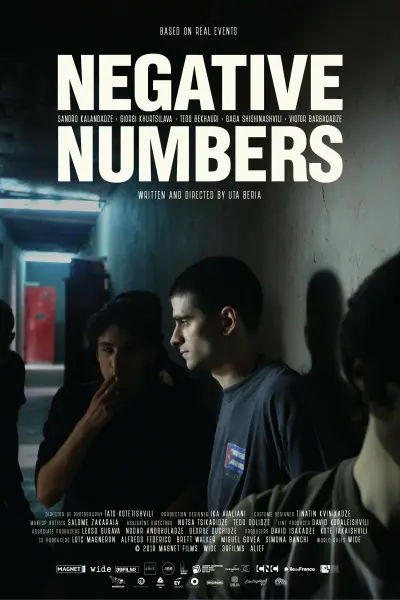 უარყოფითი რიცხვები / Negative Numbers ქართულად