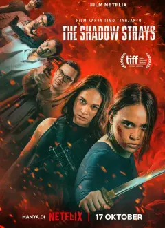 მოხეტიალე აჩრდილი / The Shadow Strays ქართულად