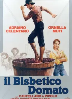 ჭირვეულის მორჯულება / Il bisbetico domato (The Taming of the Scoundrel) ქართულად