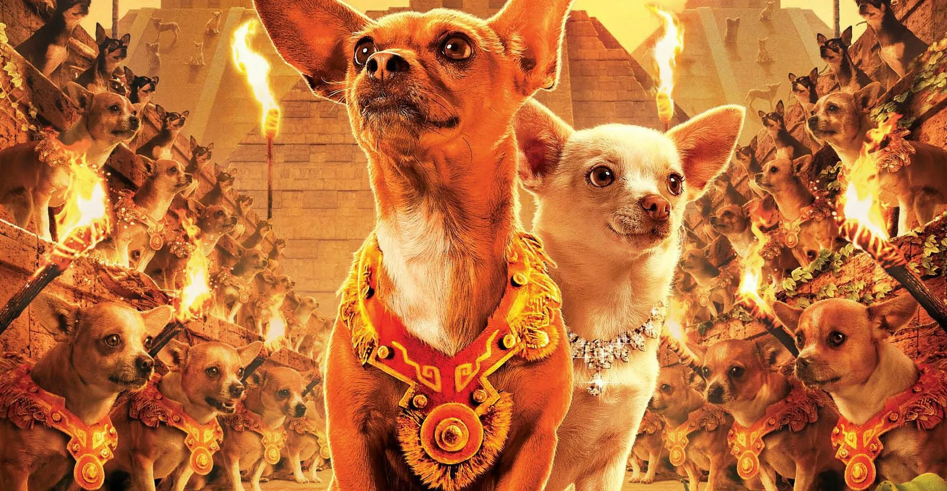ბევერლი-ჰილზელი ჩიხუახუა / Beverly Hills Chihuahua ქართულად
