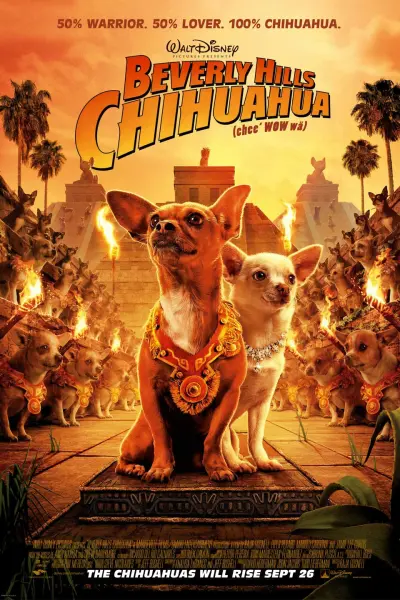 ბევერლი-ჰილზელი ჩიხუახუა / Beverly Hills Chihuahua ქართულად