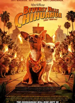 ბევერლი-ჰილზელი ჩიხუახუა / Beverly Hills Chihuahua ქართულად